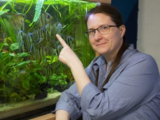 Maike Wilstermann-Hildebrand