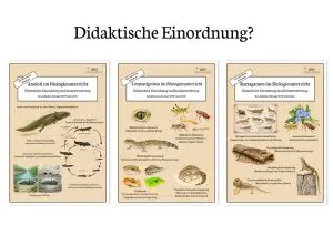 Titelbilder zur didaktischen Einordnung