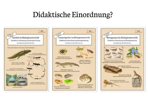 Titelbilder zur didaktischen Einordnung