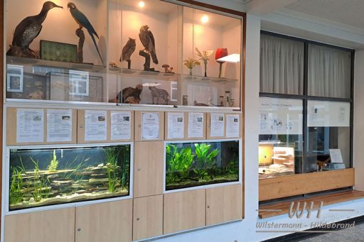 Blick auf das Schulvivarium