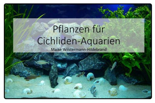 Vortrag Pflanzen im Cichliden-Aquarium