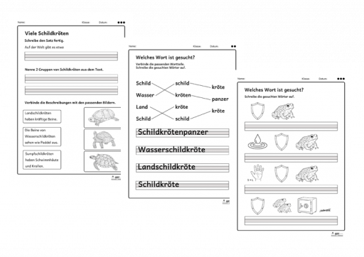 Beispiele für Arbeitsblätter und Lösungen zum Thema Schildkröten Klasse 2