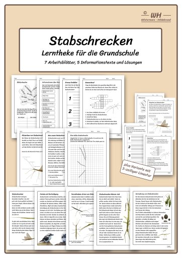 Titelbild Stabschrecken - Lerntheke für die Grundschule