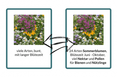 Beispiele für die Produktbeschreibung einer Blumenmischung